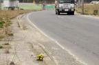 D2014021_048H