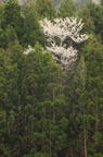 D2014021_072V