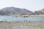 D2013029_057H