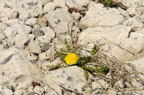 D2013029_097H