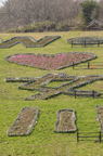 D2013029_150V