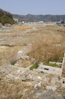 D2013029_166V