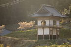 D2014018_060H
