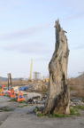 D2014018_101V