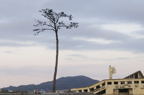 D2014018_111H
