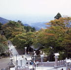F20042501_02S
