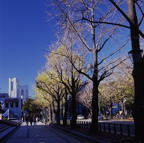 F20043202_12S