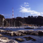 F20043901_05S