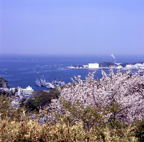 F20051003_04S