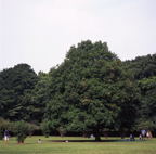 F20052701_07S