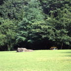 F20052901_12S