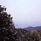 F20071101_06S