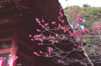 F20090301_17H