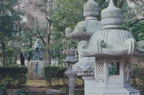 F20090401_37H
