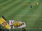 C20090525_220H