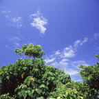 F20091602_12S