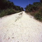 F20091603_05S