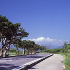 F20091603_11S