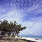F20091604_01S
