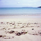 F20091604_05S