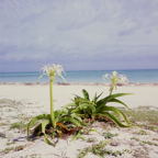 F20091605_02S