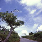 F20091701_05S