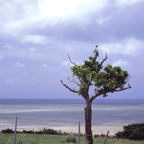 F20091703_05S