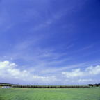 F20091704_03S