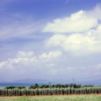 F20091704_11S