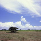 F20091801_06S