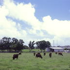 F20091801_09S