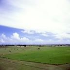 F20091802_11S