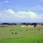 F20091803_01S