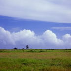 F20091803_09S